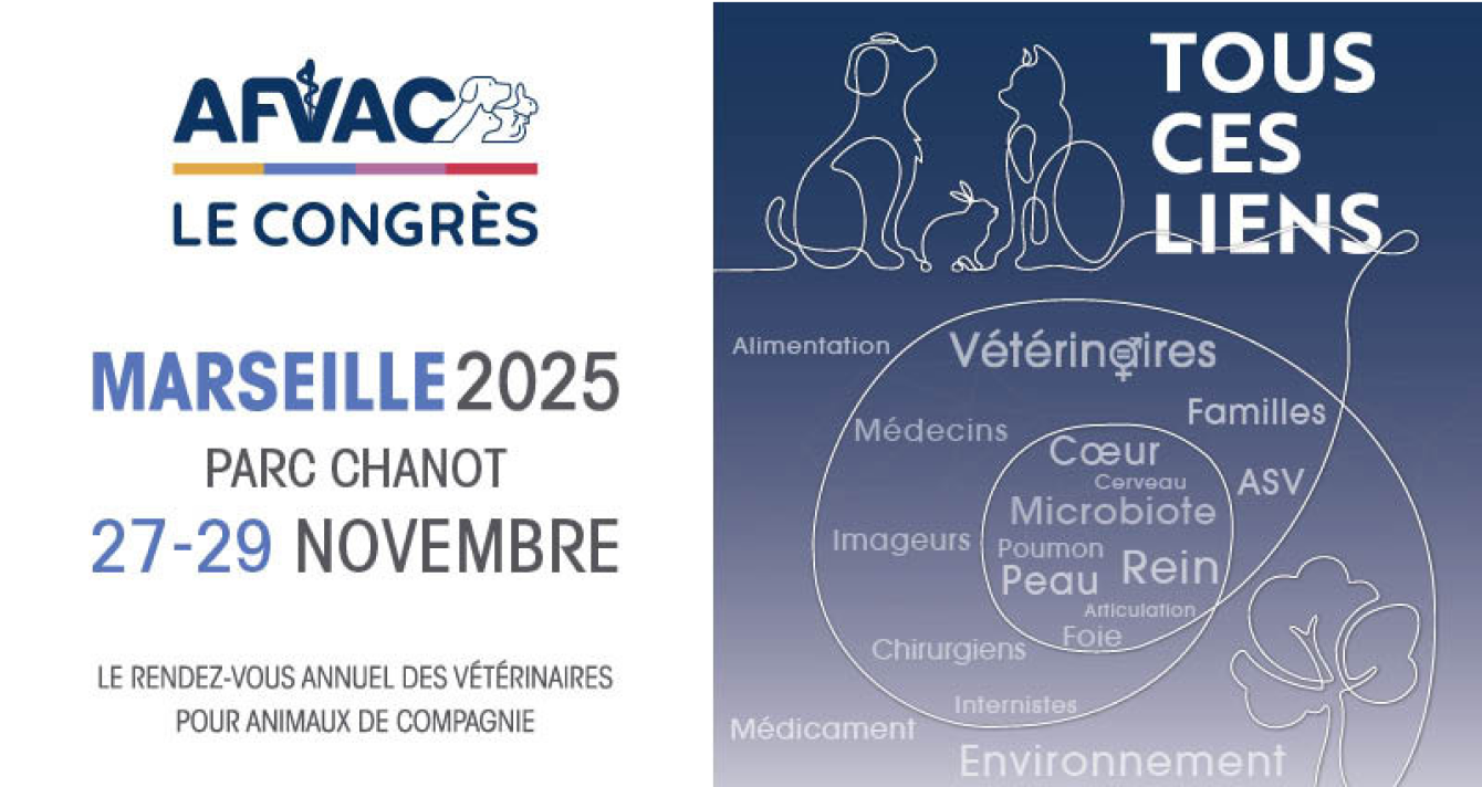 AFVAC Congress - Marseille 2025