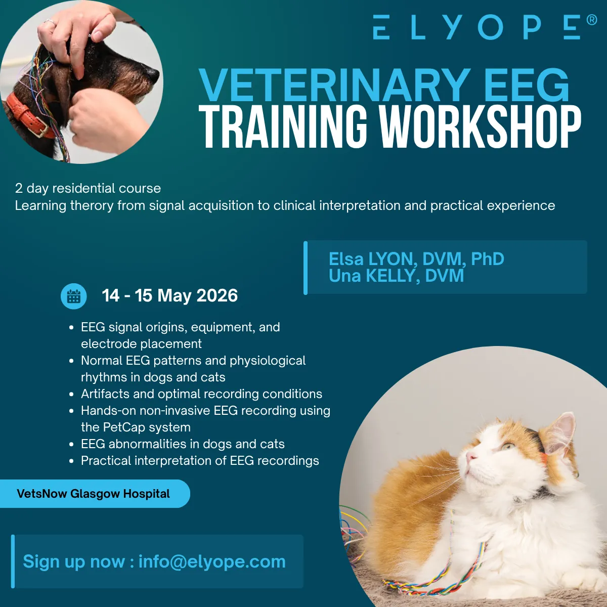 Publication Monocular ictal nystagmus in a dog